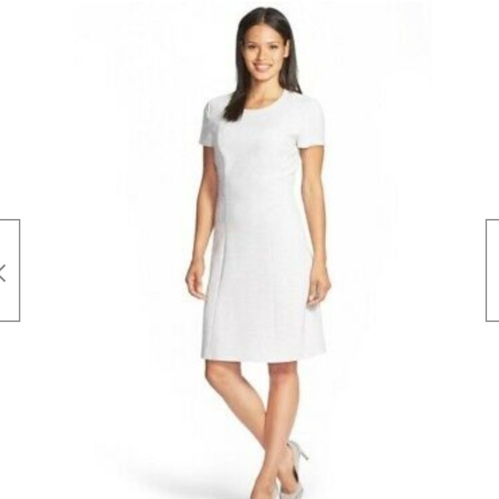 NWT Hugo Boss Dipela Light Gray Dress, Size 2